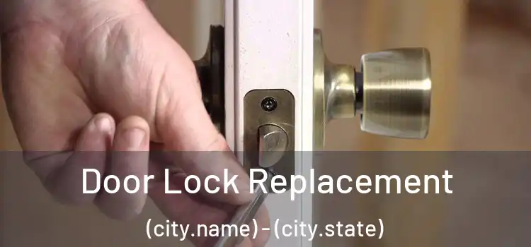  Door Lock Replacement (city.name) - (city.state)